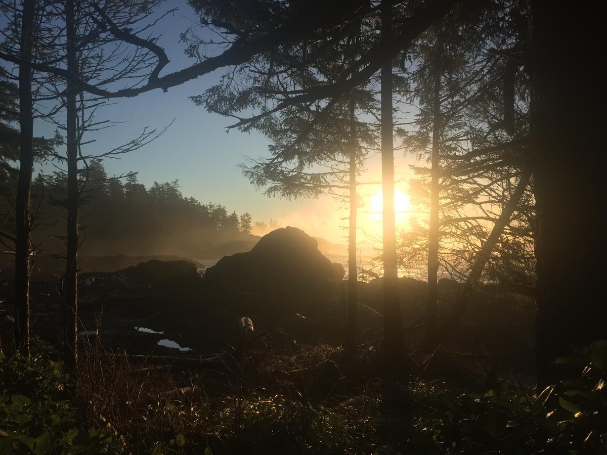 The Francis Boutique Inn Ucluelet Kültér fotó